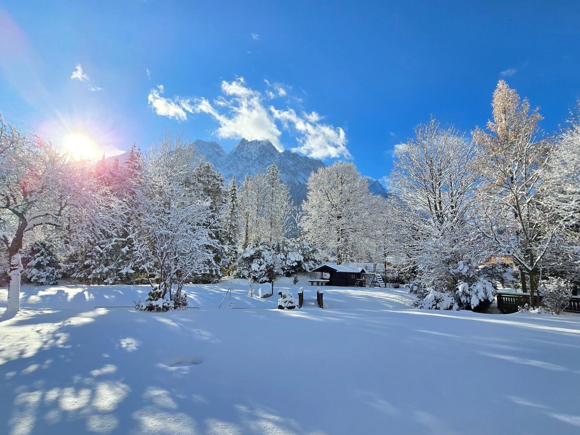 ホテル Alpenhof グライナウ エクステリア 写真