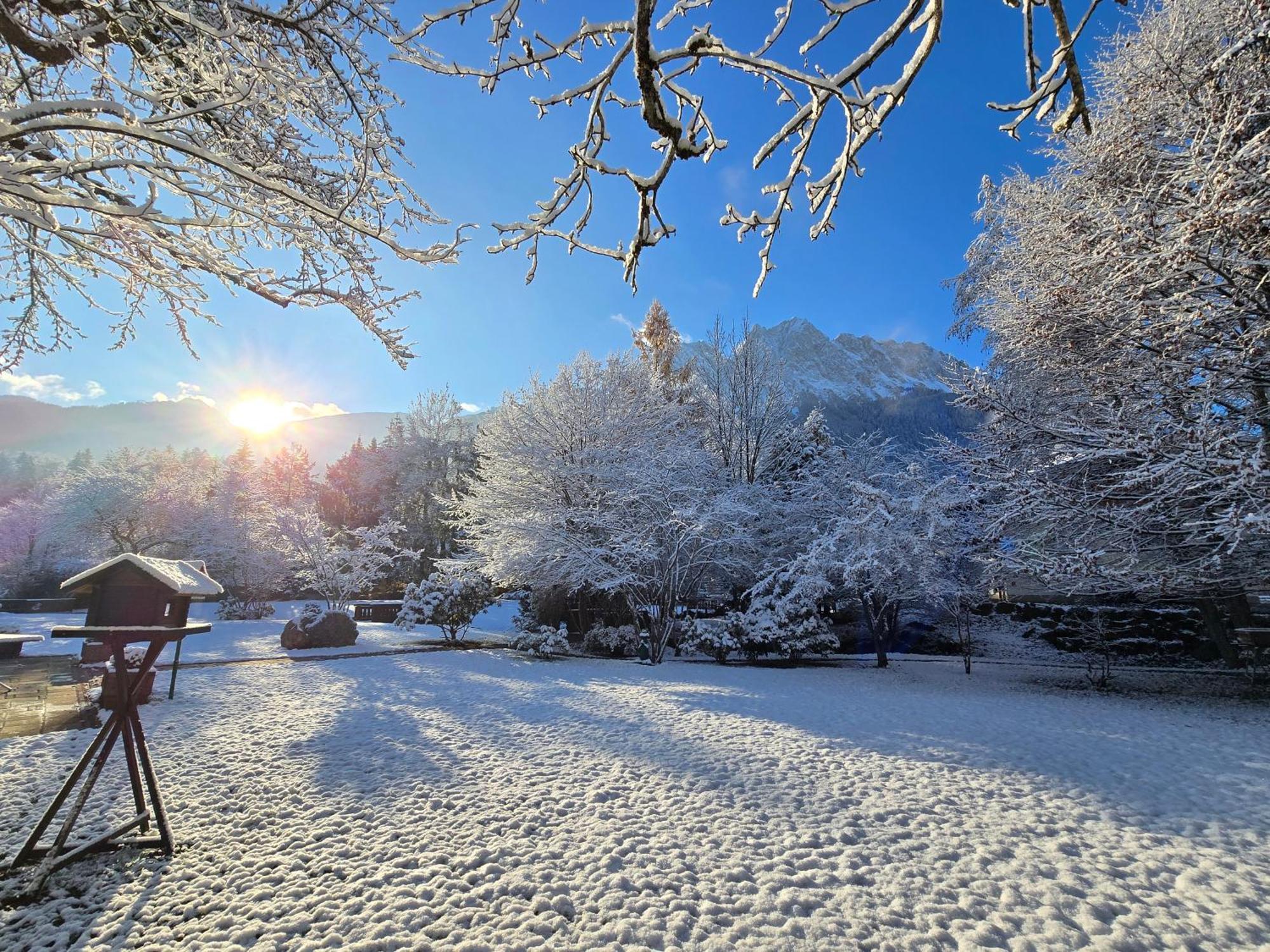 ホテル Alpenhof グライナウ エクステリア 写真