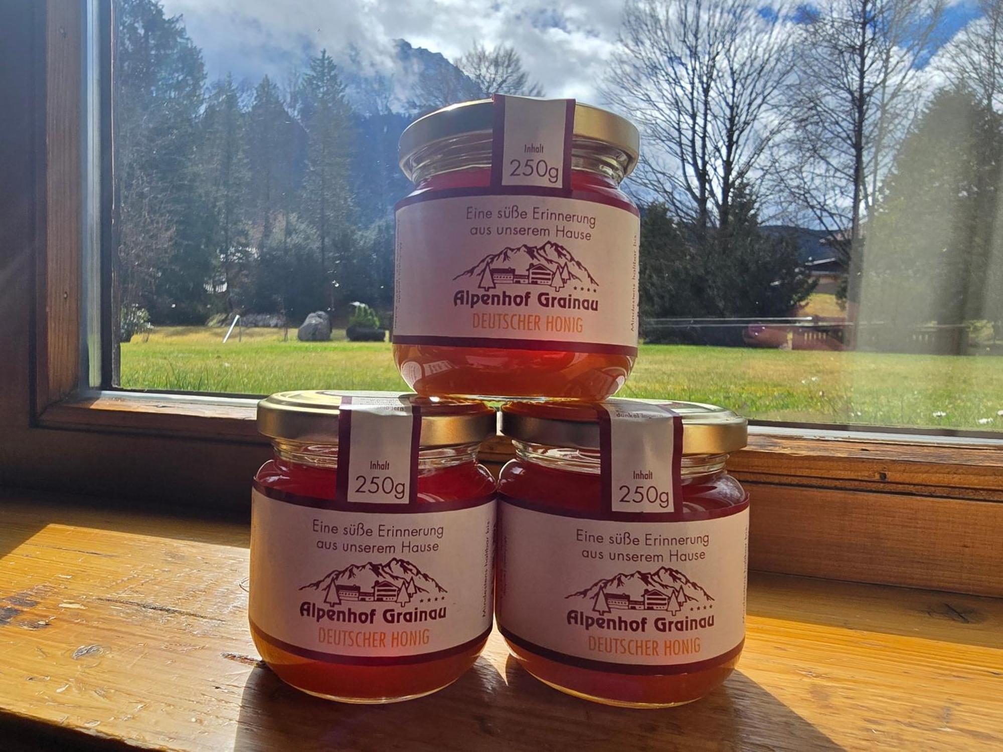 ホテル Alpenhof グライナウ エクステリア 写真