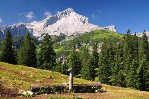 ホテル Alpenhof グライナウ エクステリア 写真